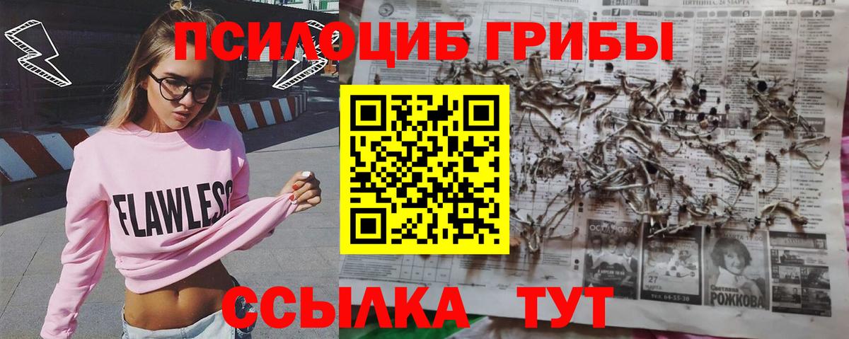 Псилоцибиновые грибы мухоморы  Вход с VPN  купить   Советская Гавань 